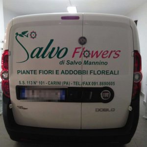 furgone salvo flowers